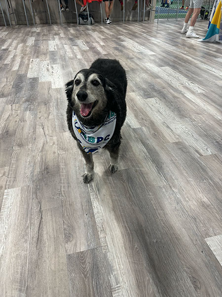 spring-classic-23-34