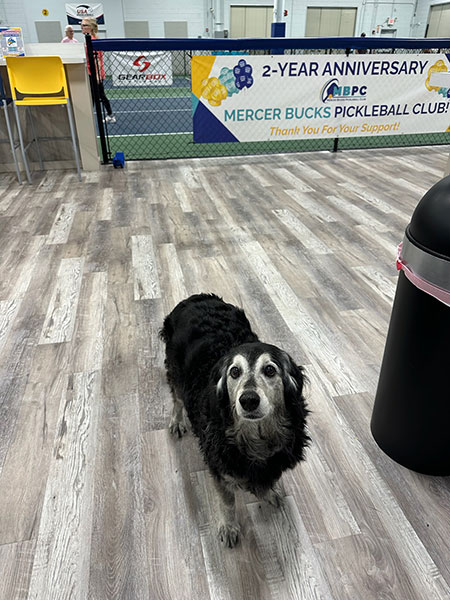 2-year-anniversary-32